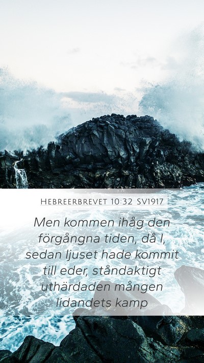 Hebreerbrevet 10:32 SV1917 Bible Verse Image