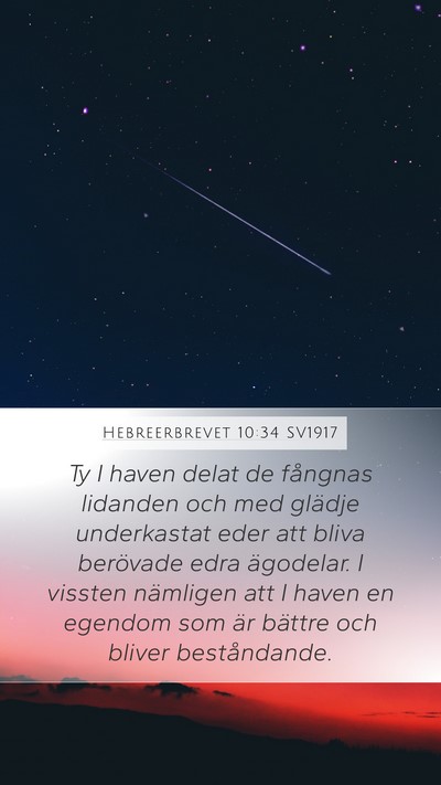 Hebreerbrevet 10:34 SV1917 Bible Verse Image