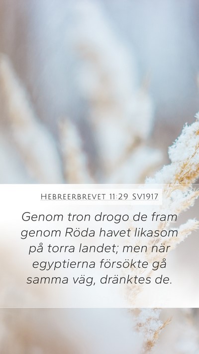 Hebreerbrevet 11:29 SV1917 Bible Verse Image