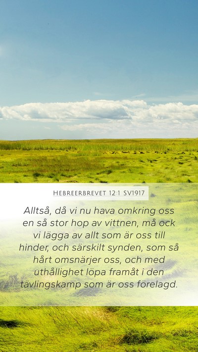 Hebreerbrevet 12:1 SV1917 Bible Verse Image