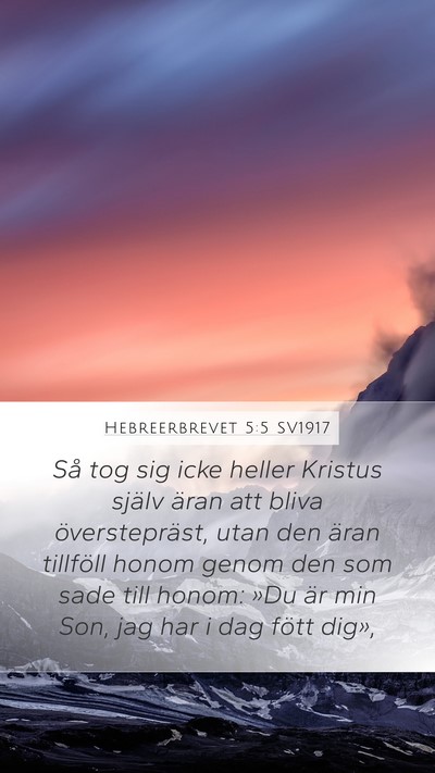 Hebreerbrevet 5:5 SV1917 Bible Verse Image