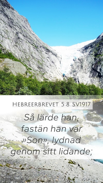 Hebreerbrevet 5:8 SV1917 Bible Verse Image