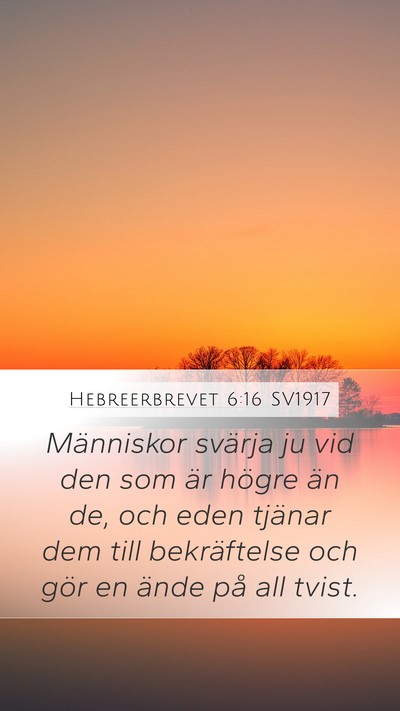Hebreerbrevet 6:16 SV1917 Bible Verse Image