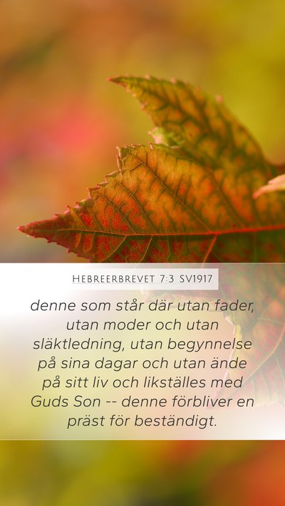 Hebreerbrevet 7:3 SV1917 Bible Verse Image