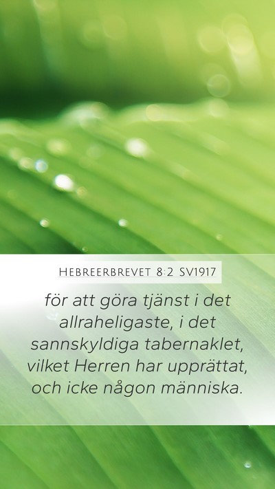 Hebreerbrevet 8:2 SV1917 Bible Verse Image