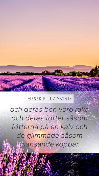 Hesekiel 1:7 SV1917 Bible Verse Image