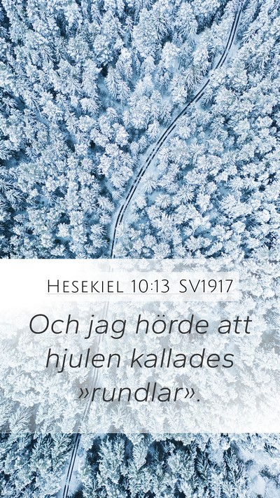 Hesekiel 10:13 SV1917 Bible Verse Image