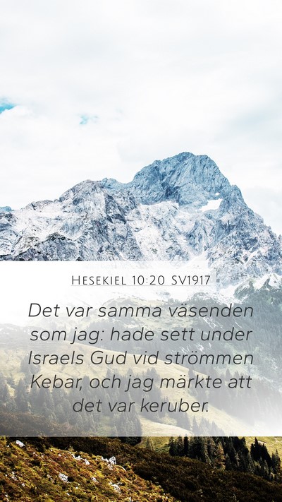 Hesekiel 10:20 SV1917 Bible Verse Image
