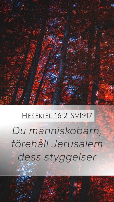 Hesekiel 16:2 SV1917 Bible Verse Image
