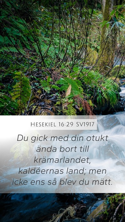 Hesekiel 16:29 SV1917 Bible Verse Image