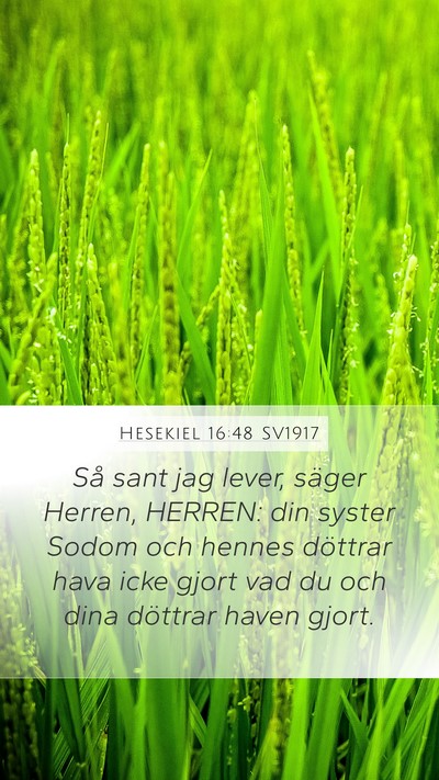 Hesekiel 16:48 SV1917 Bible Verse Image