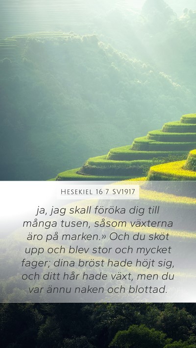 Hesekiel 16:7 SV1917 Bible Verse Image