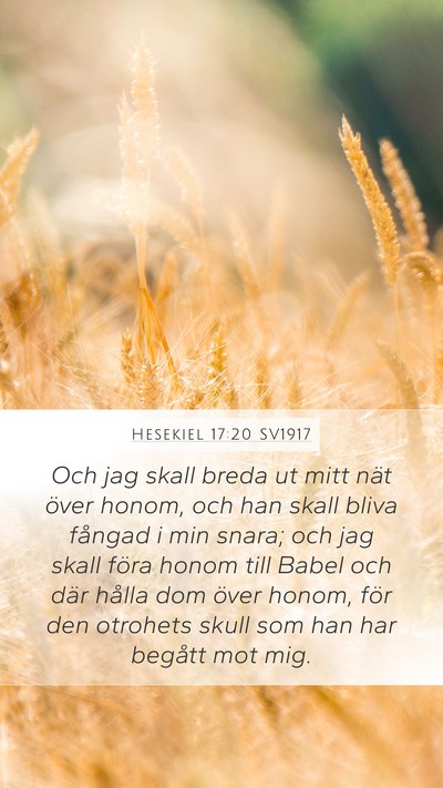 Hesekiel 17:20 SV1917 Bible Verse Image