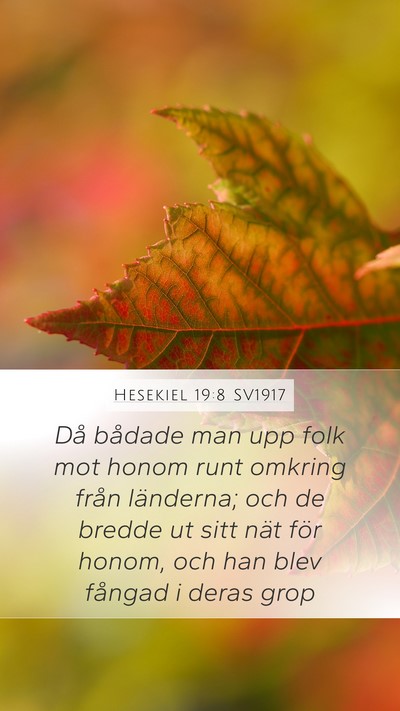 Hesekiel 19:8 SV1917 Bible Verse Image