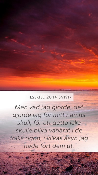 Hesekiel 20:14 SV1917 Bible Verse Image