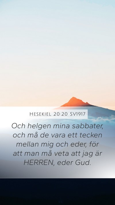 Hesekiel 20:20 SV1917 Bible Verse Image