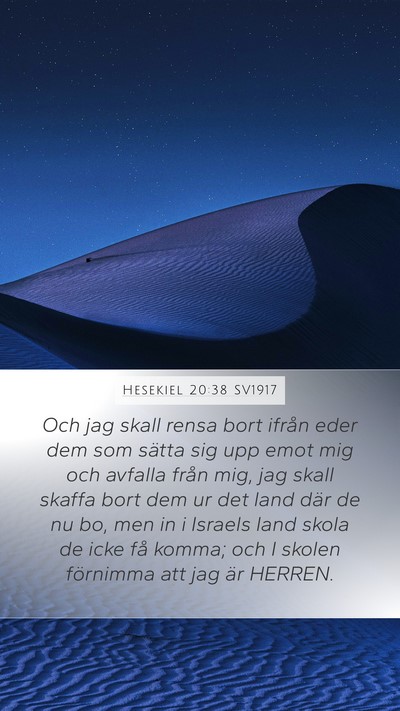 Hesekiel 20:38 SV1917 Bible Verse Image