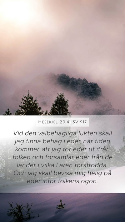 Hesekiel 20:41 SV1917 Bible Verse Image