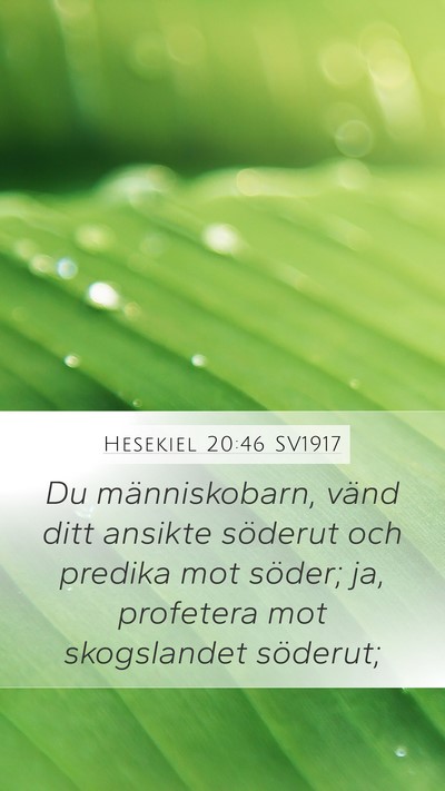 Hesekiel 20:46 SV1917 Bible Verse Image