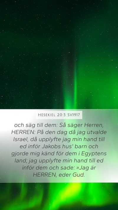 Hesekiel 20:5 SV1917 Bible Verse Image