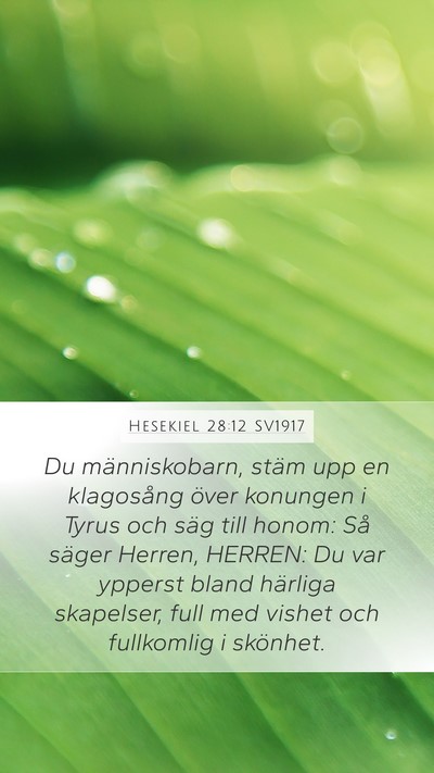 Hesekiel 28:12 SV1917 Bible Verse Image