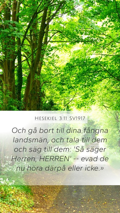 Hesekiel 3:11 SV1917 Bible Verse Image