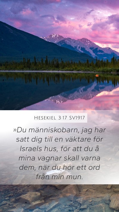 Hesekiel 3:17 SV1917 Bible Verse Image