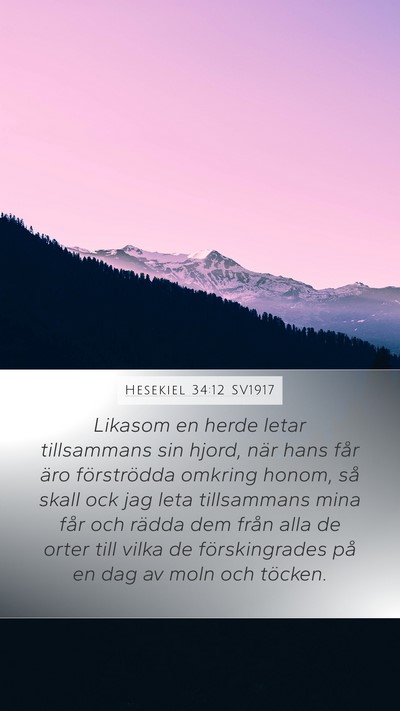 Hesekiel 34:12 SV1917 Bible Verse Image