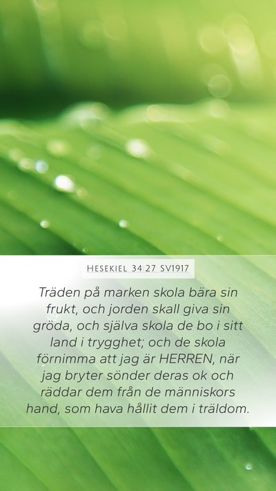 Hesekiel 34:27 SV1917 Bible Verse Image