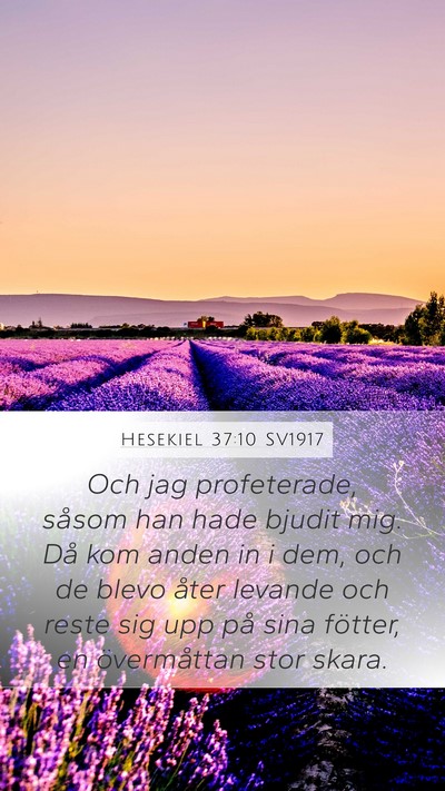 Hesekiel 37:10 SV1917 Bible Verse Image