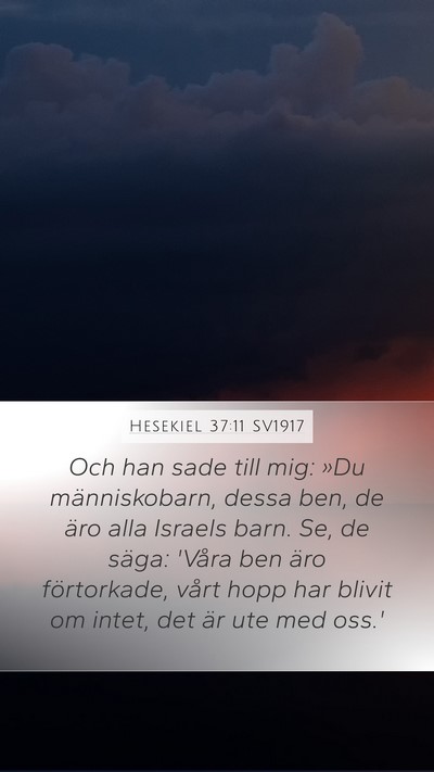 Hesekiel 37:11 SV1917 Bible Verse Image