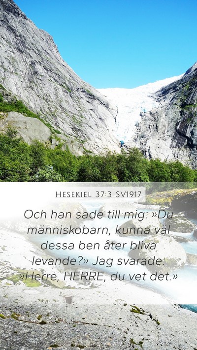 Hesekiel 37:3 SV1917 Bible Verse Image
