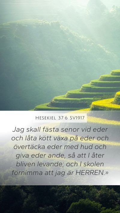 Hesekiel 37:6 SV1917 Bible Verse Image