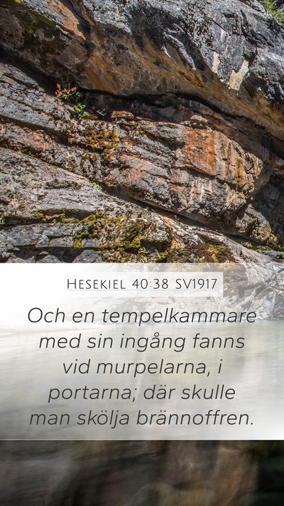 Hesekiel 40:38 SV1917 Bible Verse Image