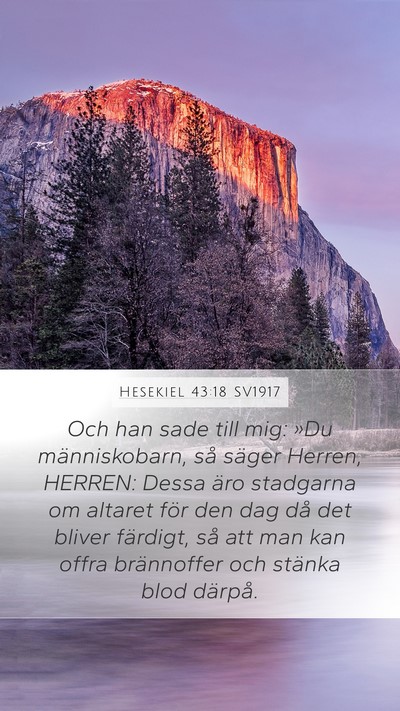 Hesekiel 43:18 SV1917 Bible Verse Image