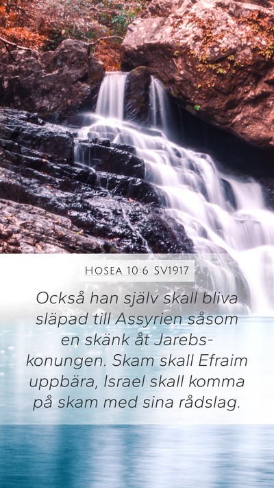 Hosea 10:6 SV1917 Bible Verse Image