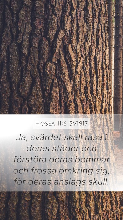 Hosea 11:6 SV1917 Bible Verse Image