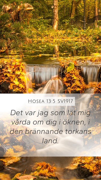 Hosea 13:5 SV1917 Bible Verse Image