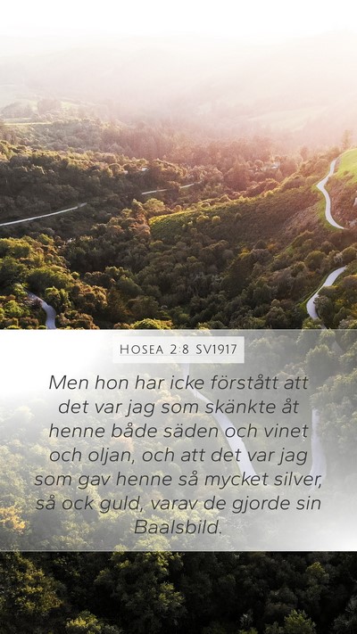 Hosea 2:8 SV1917 Bible Verse Image