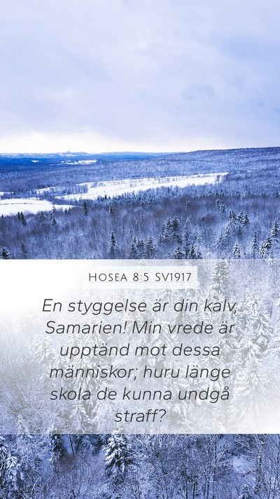 Hosea 8:5 SV1917 Mobile Phone Wallpaper - En styggelse är din kalv, Samarien! Min vrede - Mobile Bible Verse Wallpaper