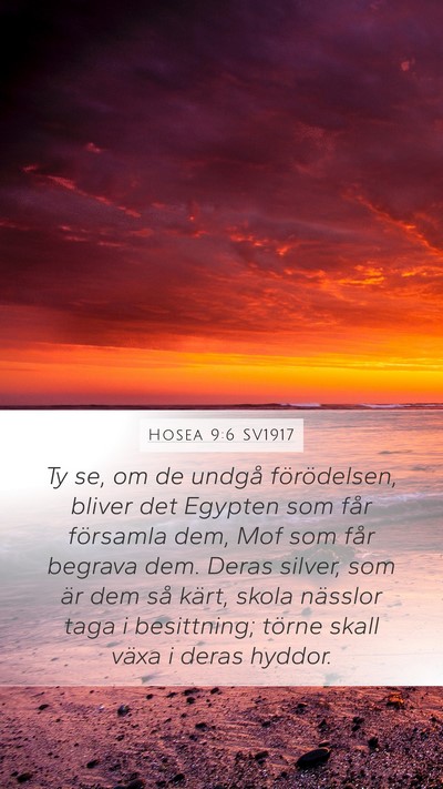 Hosea 9:6 SV1917 Bible Verse Image
