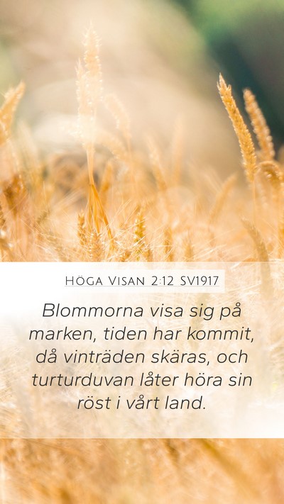 Höga Visan 2:12 SV1917 Bible Verse Image