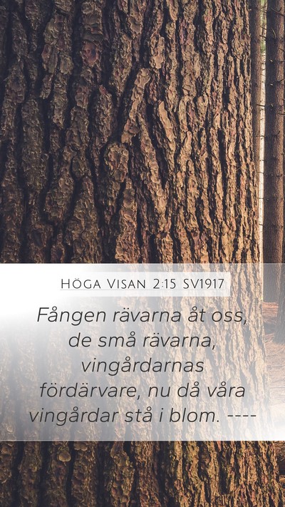 Höga Visan 2:15 SV1917 Mobile Phone Wallpaper - Fången rävarna åt oss, de små rävarna, - Mobile Bible Verse Wallpaper