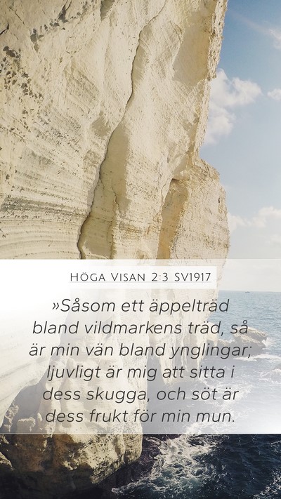 Höga Visan 2:3 SV1917 Bible Verse Image