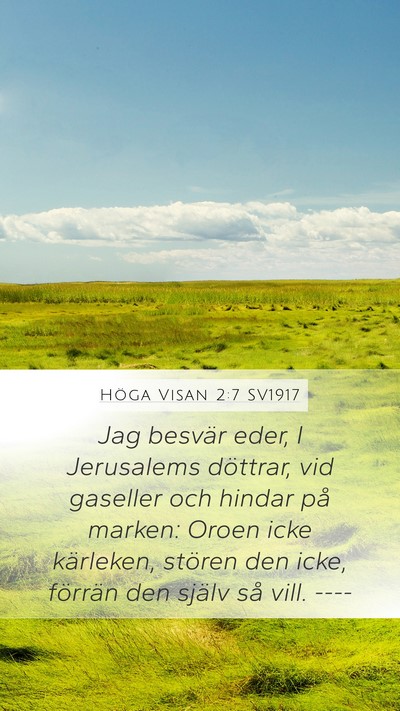 Höga Visan 2:7 SV1917 Bible Verse Image