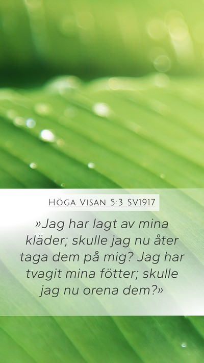 Höga Visan 5:3 SV1917 Mobile Phone Wallpaper - »Jag har lagt av mina kläder; skulle jag nu - Mobile Bible Verse Wallpaper