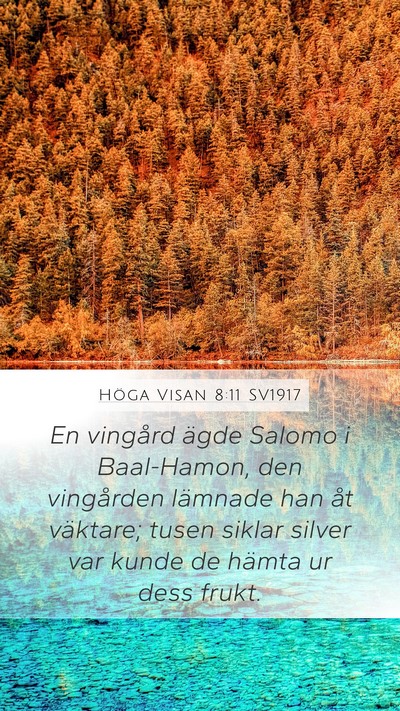 Höga Visan 8:11 SV1917 Bible Verse Image