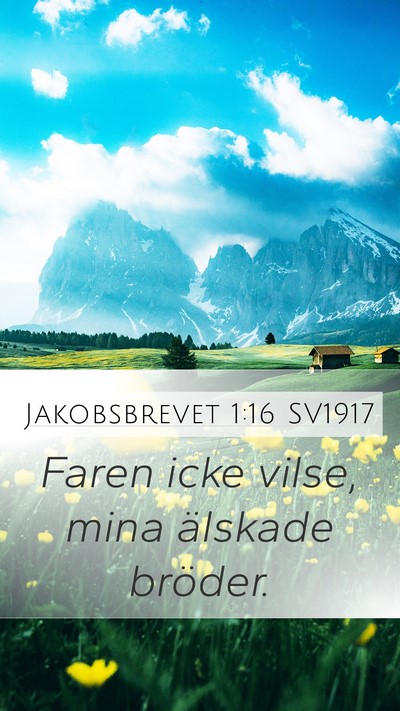 Jakobsbrevet 1:16 SV1917 Bible Verse Image