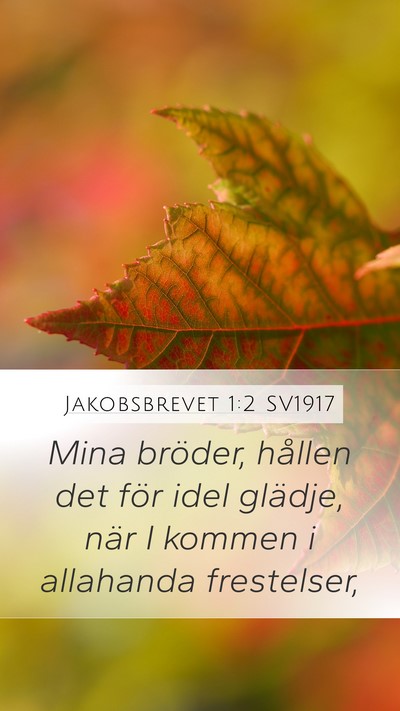 Jakobsbrevet 1:2 SV1917 Bible Verse Image