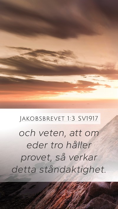 Jakobsbrevet 1:3 SV1917 Bible Verse Image